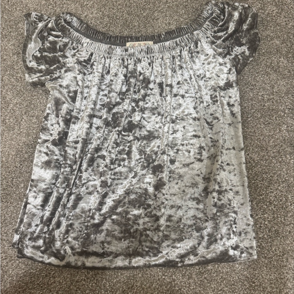 Pink Rose Off the Shoulder Shimmering Silver Velvet Blouse